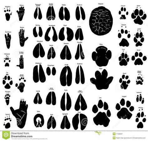 African Animal Footprints Printable